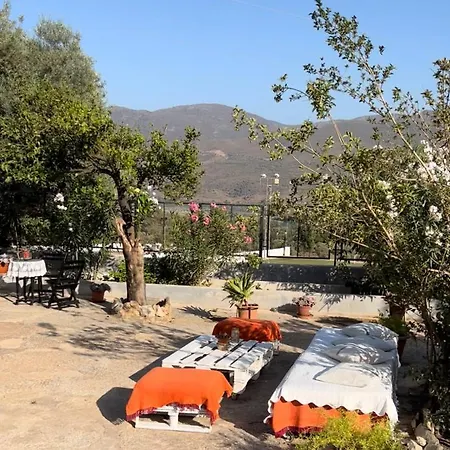 Huerta La Nina Arenas